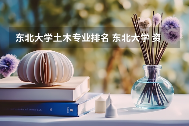 东北大学土木专业排名 东北大学 资源与土木工程学院 专业怎么分类？ 93年建院后专业怎么分的？