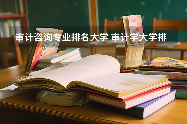 审计咨询专业排名大学 审计学大学排名