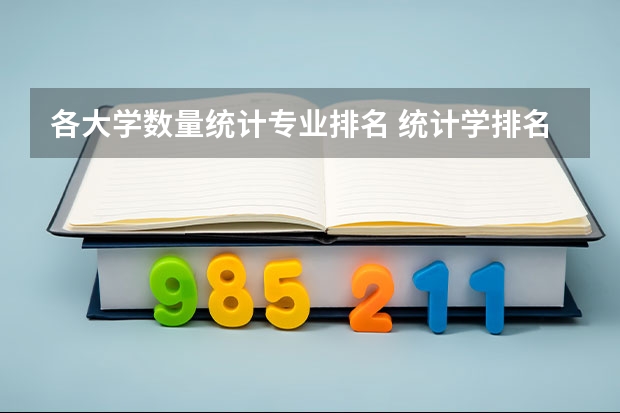 各大学数量统计专业排名 统计学排名大学