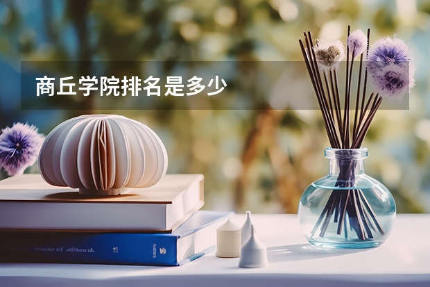 商丘学院排名是多少