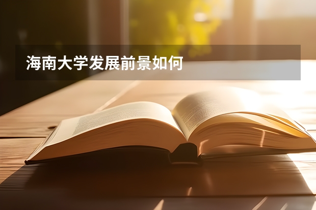 海南大学发展前景如何