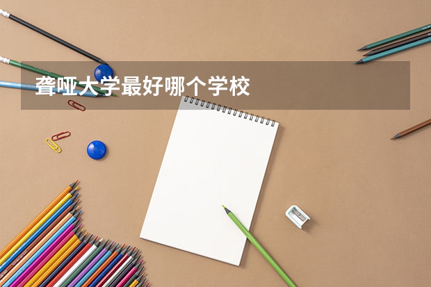 聋哑大学最好哪个学校