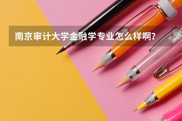 南京审计大学金融学专业怎么样啊？