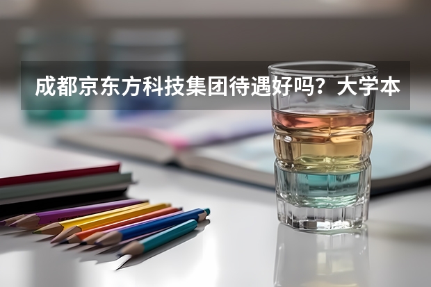 成都京东方科技集团待遇好吗?大学本科毕业985