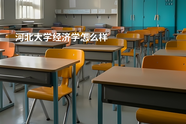 河北大学经济学怎么样