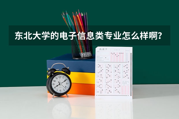东北大学的电子信息类专业怎么样啊？