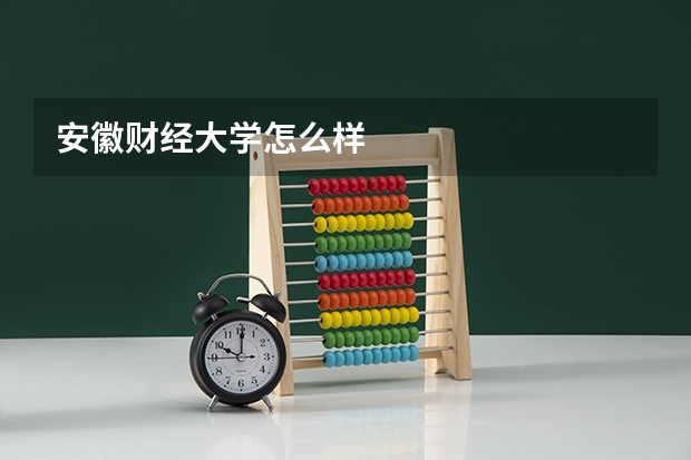安徽财经大学怎么样