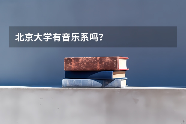 北京大学有音乐系吗?