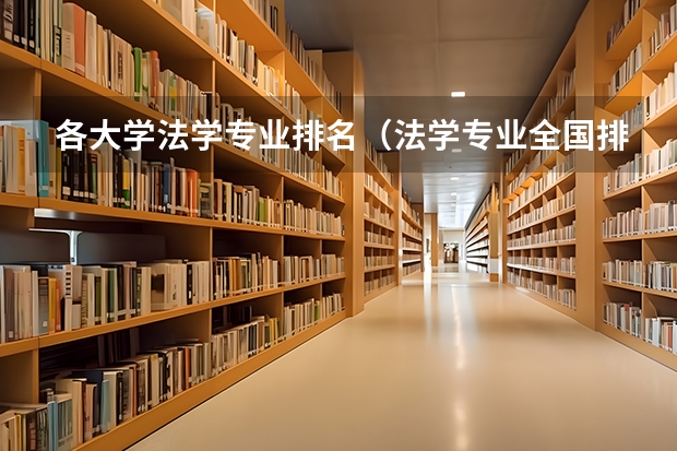 各大学法学专业排名（法学专业全国排名一览）