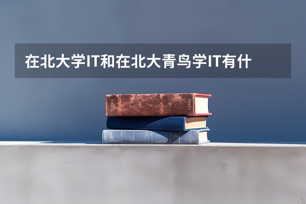 在北大学IT和在北大青鸟学IT有什么区别?