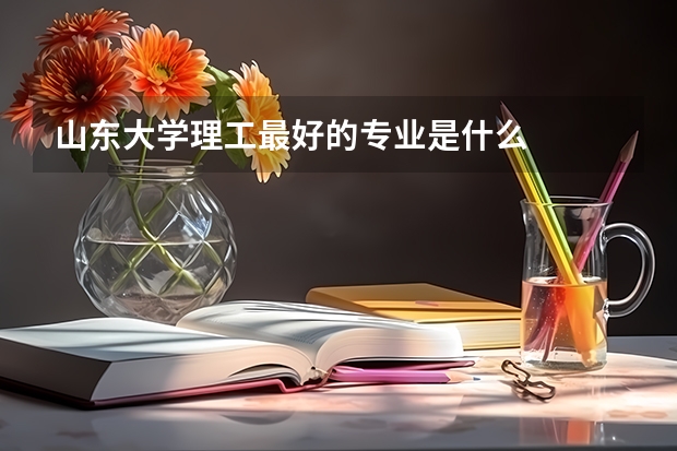 山东大学理工最好的专业是什么