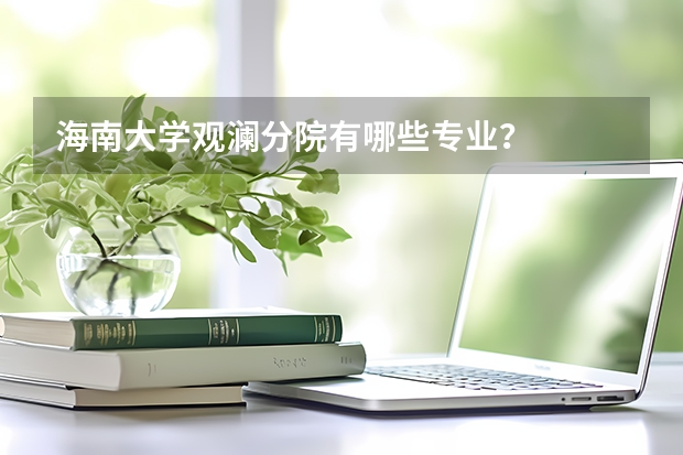 海南大学观澜分院有哪些专业？
