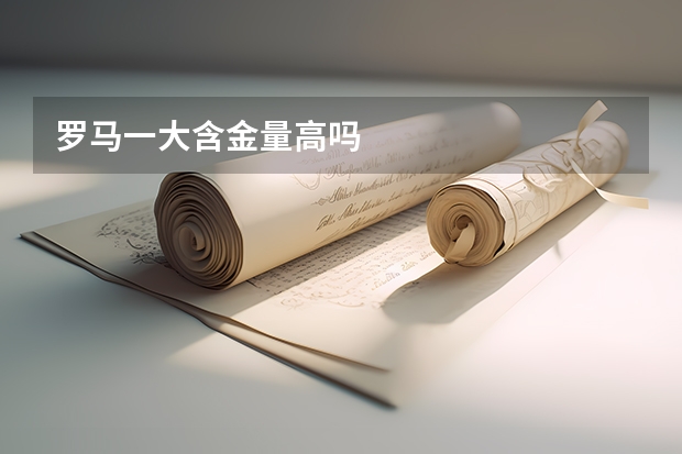 罗马一大含金量高吗