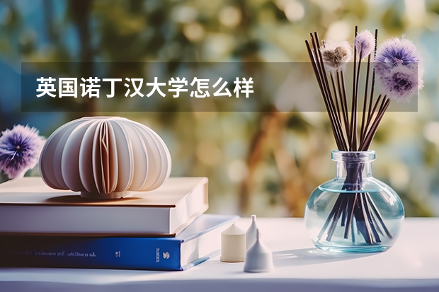 英国诺丁汉大学怎么样