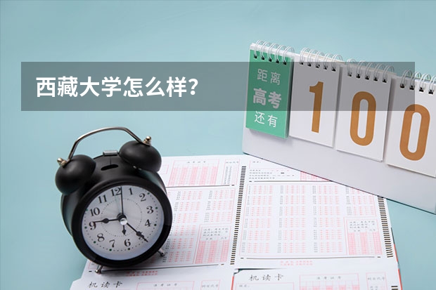 西藏大学怎么样？