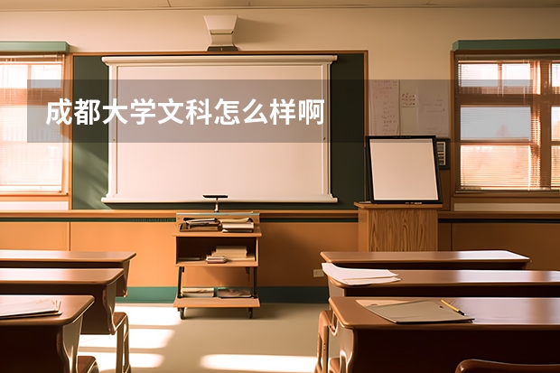 成都大学文科怎么样啊