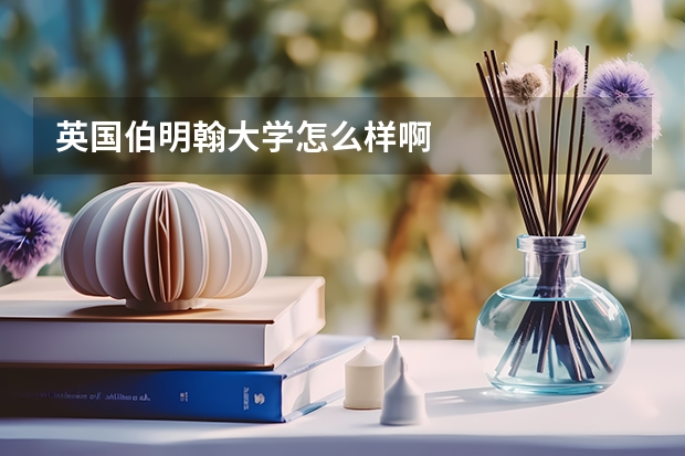 英国伯明翰大学怎么样啊