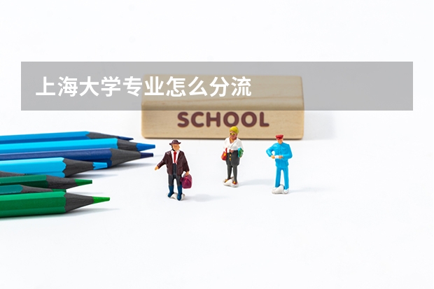 上海大学专业怎么分流