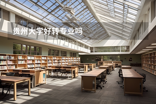 贵州大学好转专业吗