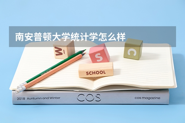南安普顿大学统计学怎么样
