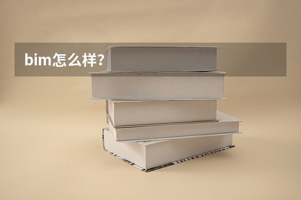 bim怎么样？