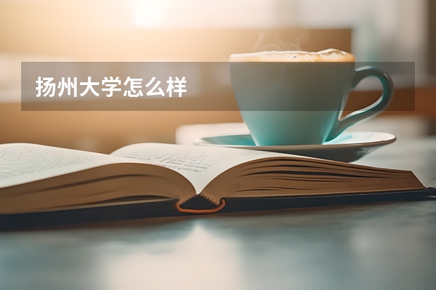 扬州大学怎么样