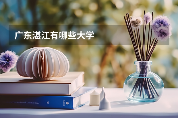 广东湛江有哪些大学
