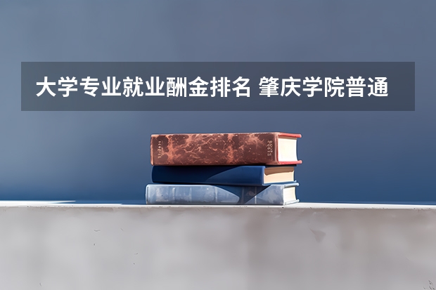 大学专业就业酬金排名 肇庆学院普通高校招生简章,招生专业