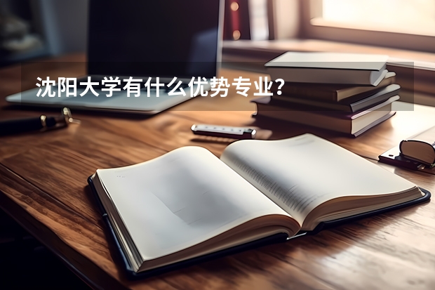 沈阳大学有什么优势专业？