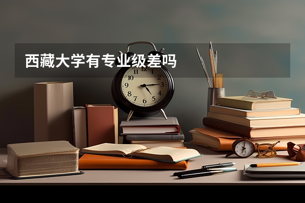 西藏大学有专业级差吗