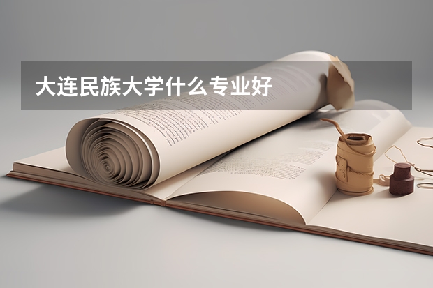 大连民族大学什么专业好