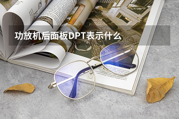 功放机后面板DPT表示什么