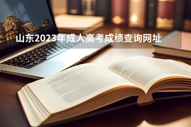 山东2023年成人高考成绩查询网址及入口是什么？