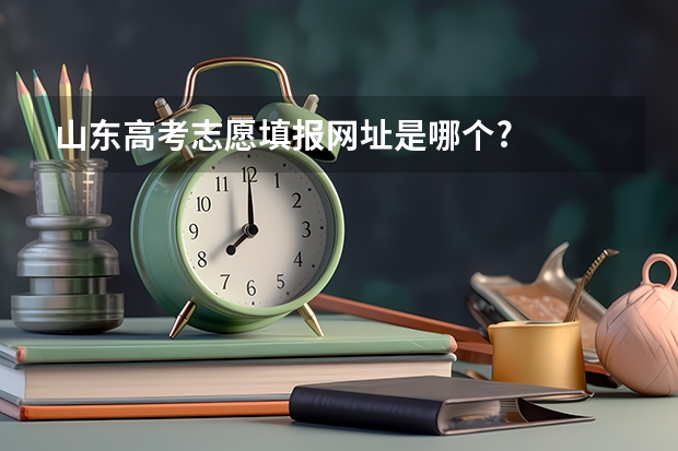 山东高考志愿填报网址是哪个?