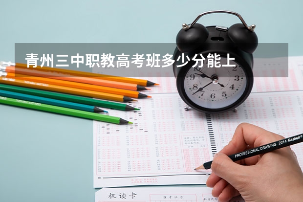 青州三中职教高考班多少分能上