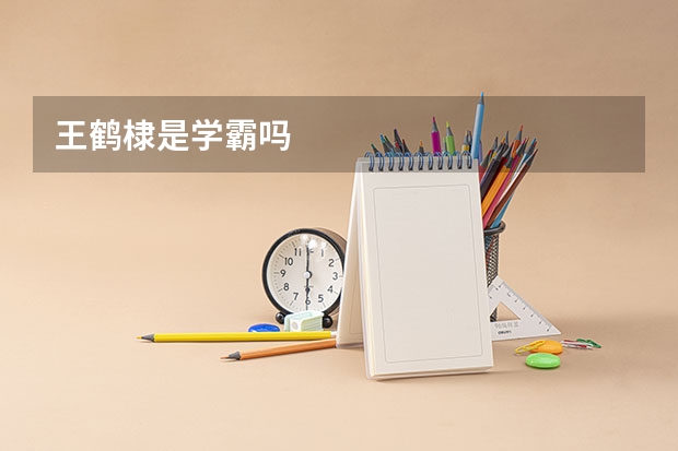王鹤棣是学霸吗