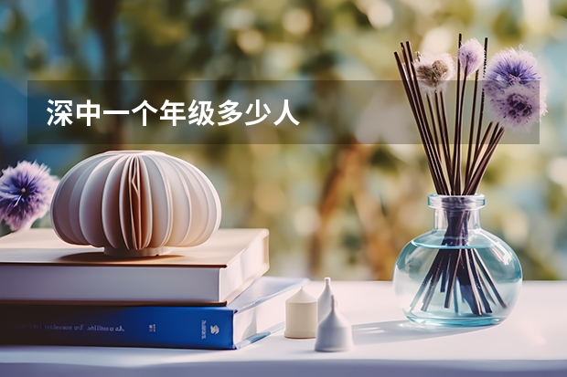 深中一个年级多少人