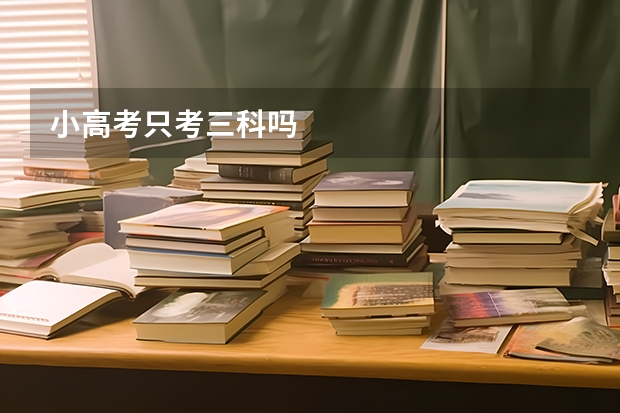小高考只考三科吗
