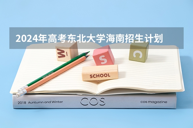 2024年高考东北大学海南招生计划