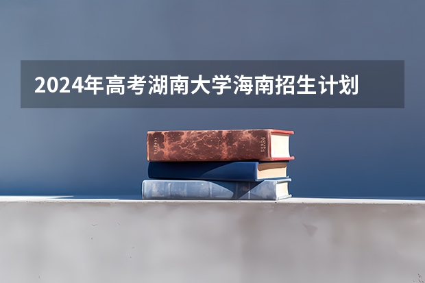2024年高考湖南大学海南招生计划