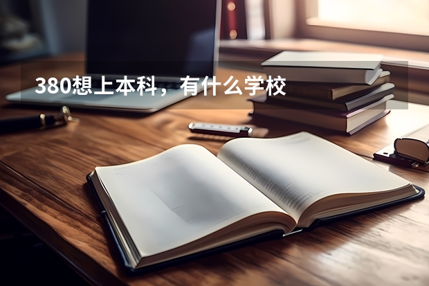 380想上本科，有什么学校