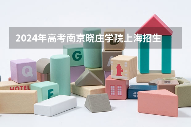 2024年高考南京晓庄学院上海招生计划