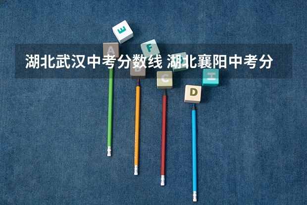 湖北武汉中考分数线 湖北襄阳中考分数线