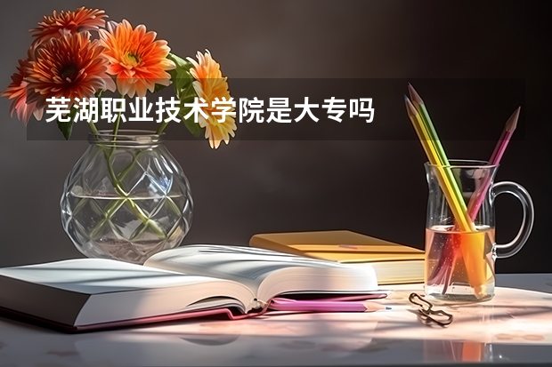 芜湖职业技术学院是大专吗