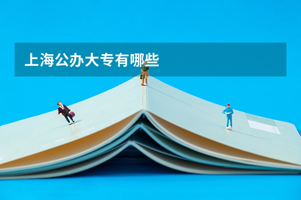 上海公办大专有哪些