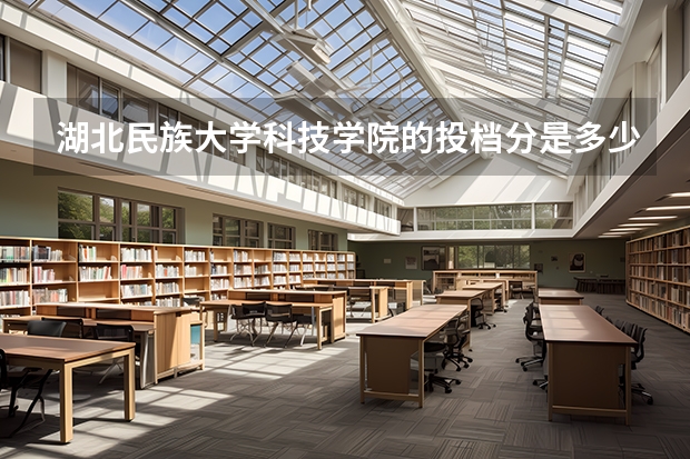 湖北民族大学科技学院的投档分是多少