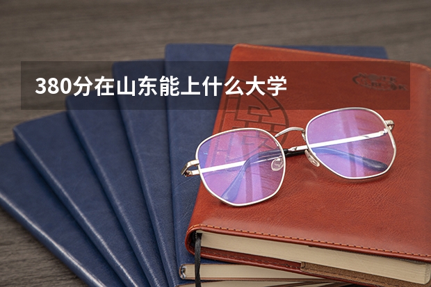 380分在山东能上什么大学