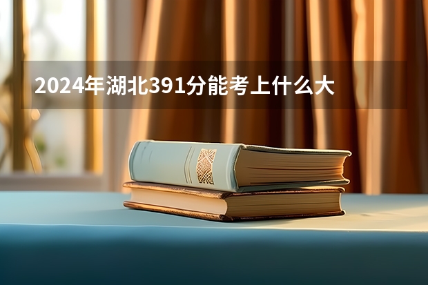 2024年湖北391分能考上什么大学？