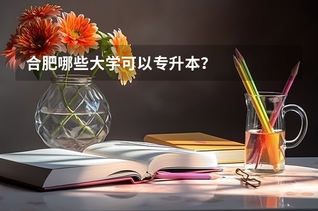 合肥哪些大学可以专升本？
