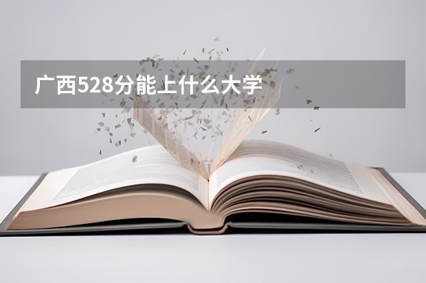 广西528分能上什么大学